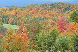 Vermont Fall Splendor