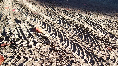 Mud Season
